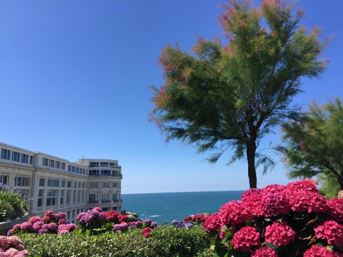 Charmant T2 Biarritz Centre 외부 사진